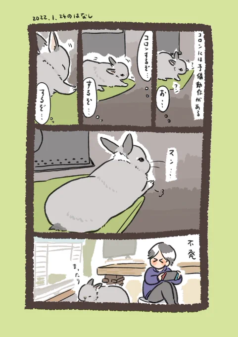 今日のrabbit…
#うさぎのいる生活 