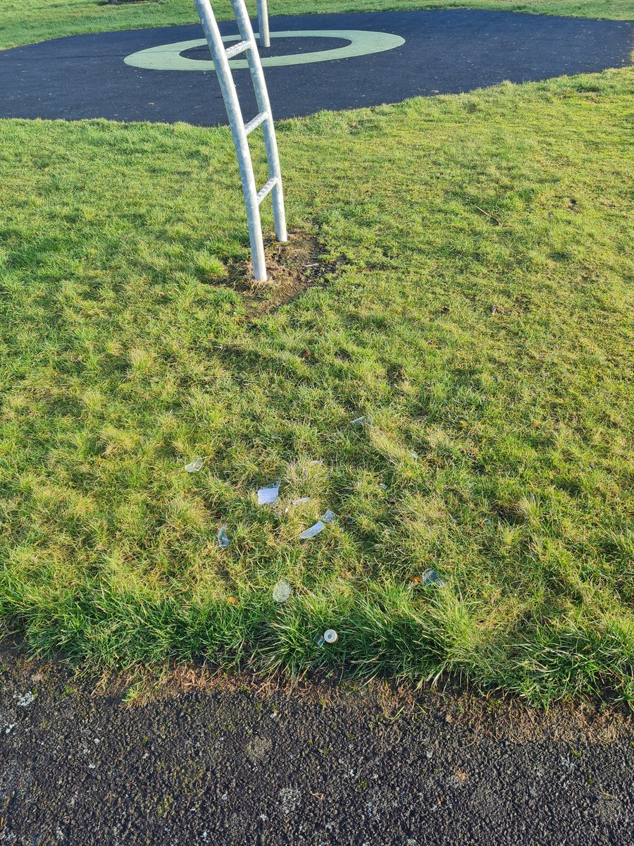 Lisa Porter tweet media