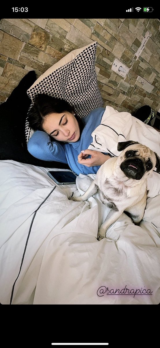 realitysymas's tweet photo. La perrita de Julen y sandra🥰🥰🥰 https://t.co/mwcTXBQEGu
