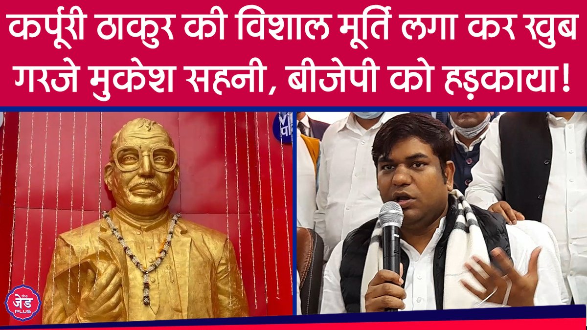 The Z plus tweet media