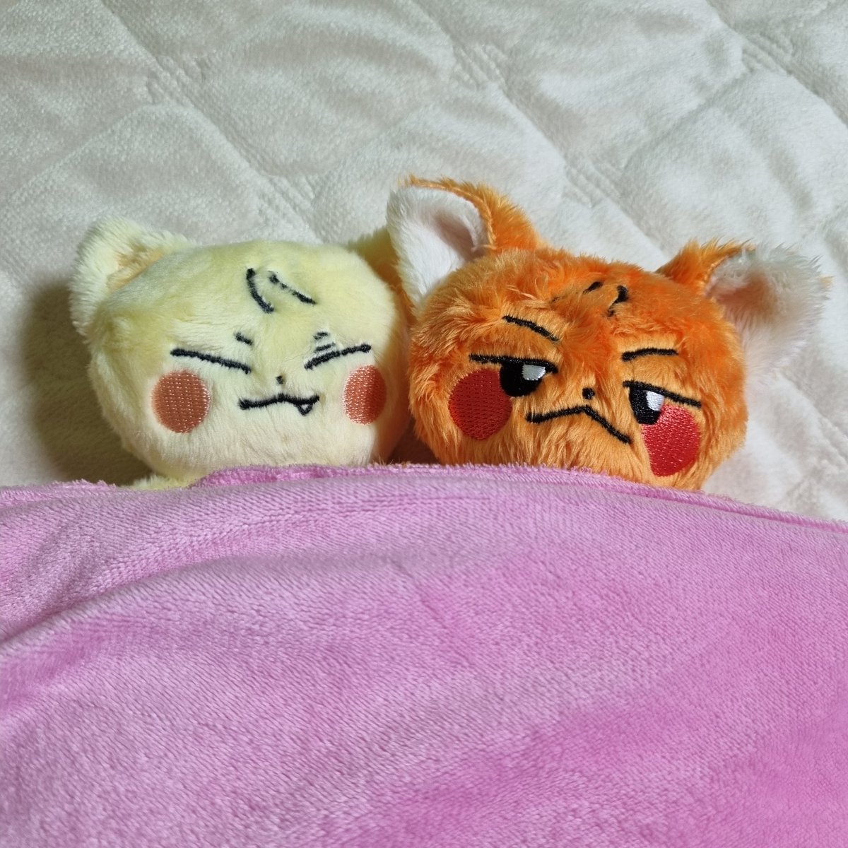 btoblover3333's tweet photo. #광냥이의_하루
#그날의_여우뎨

광냥이랑 여우뎨랑 투샷😍 https://t.co/2I1vCXpkf9