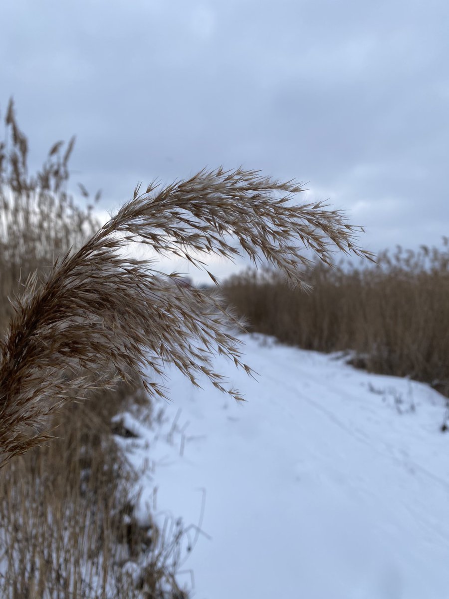 The weather ❤️❤️❤️ #nft #NFTCommmunity #NFTdrop #Bitcoin #Ethereum