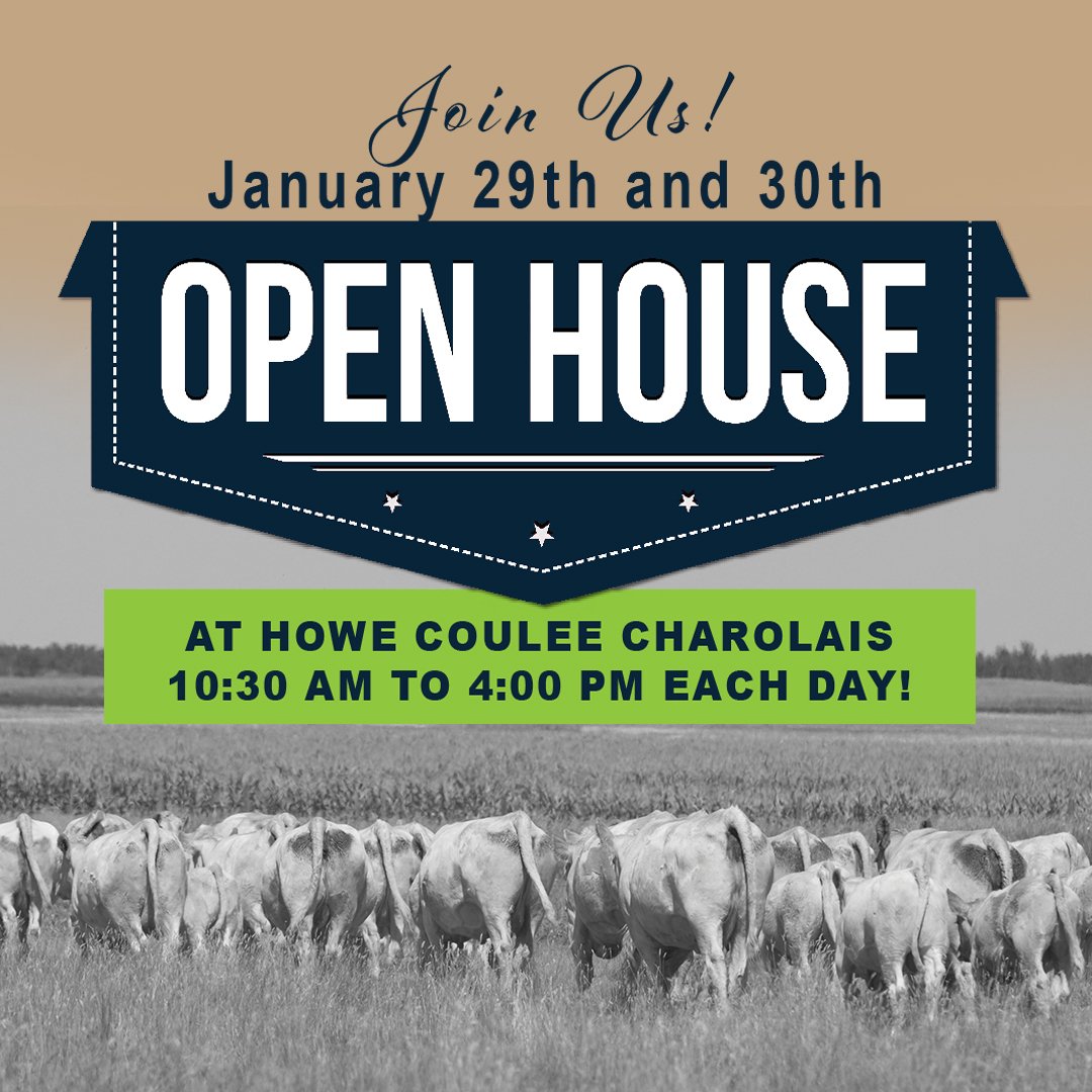 Join us January 29th and 30th for our Private Treaty Open House just south of Moose Jaw!  Lunch will be served!

Now don't feel you can't come out to view the bull any other day as the coffee is always on.
#charolais