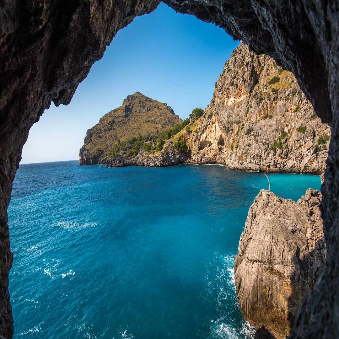 an_adventure12's tweet photo. “If you want to hear the distant voice of the ocean put your ear to the lips of a seashell.”-
Curtis Tyrone Jones
#oceanvibe
#oceanlover
#peaceandcalm
#exploredeeper https://t.co/KG25xjWy5G