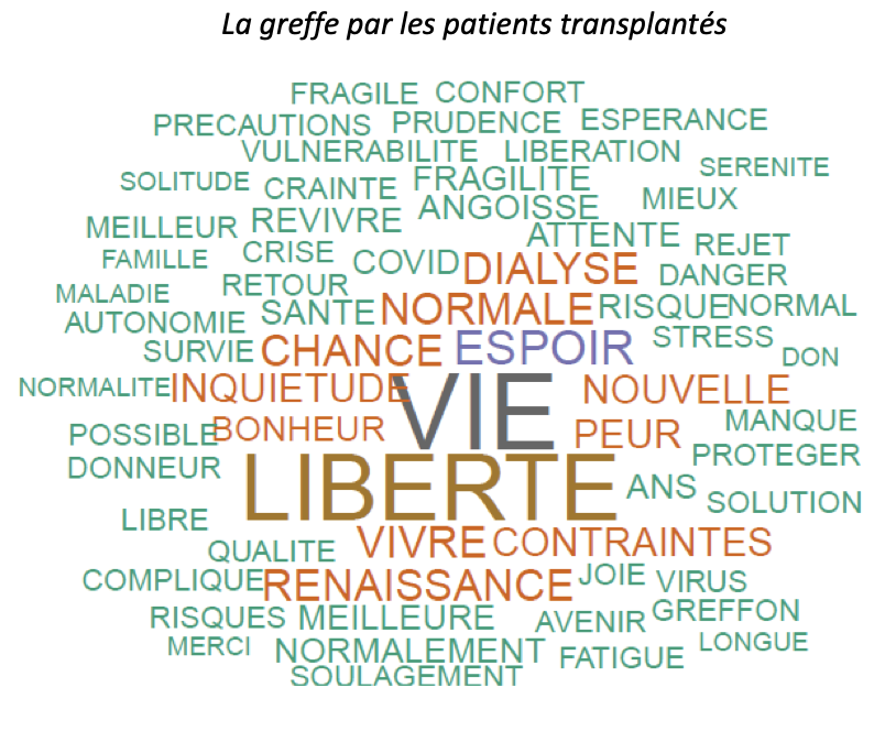 ✅ #dialyse / #greffe : le poids des mots des malades des reins
✅ Interrogés sur les mots qui représentent le mieux, pour eux, leurs traitements, plus de 2.300 patients se sont exprimés avec force 
➡️ La dureté de certains des mots choisis interpèle
renaloo.com/dialyse-greffe…