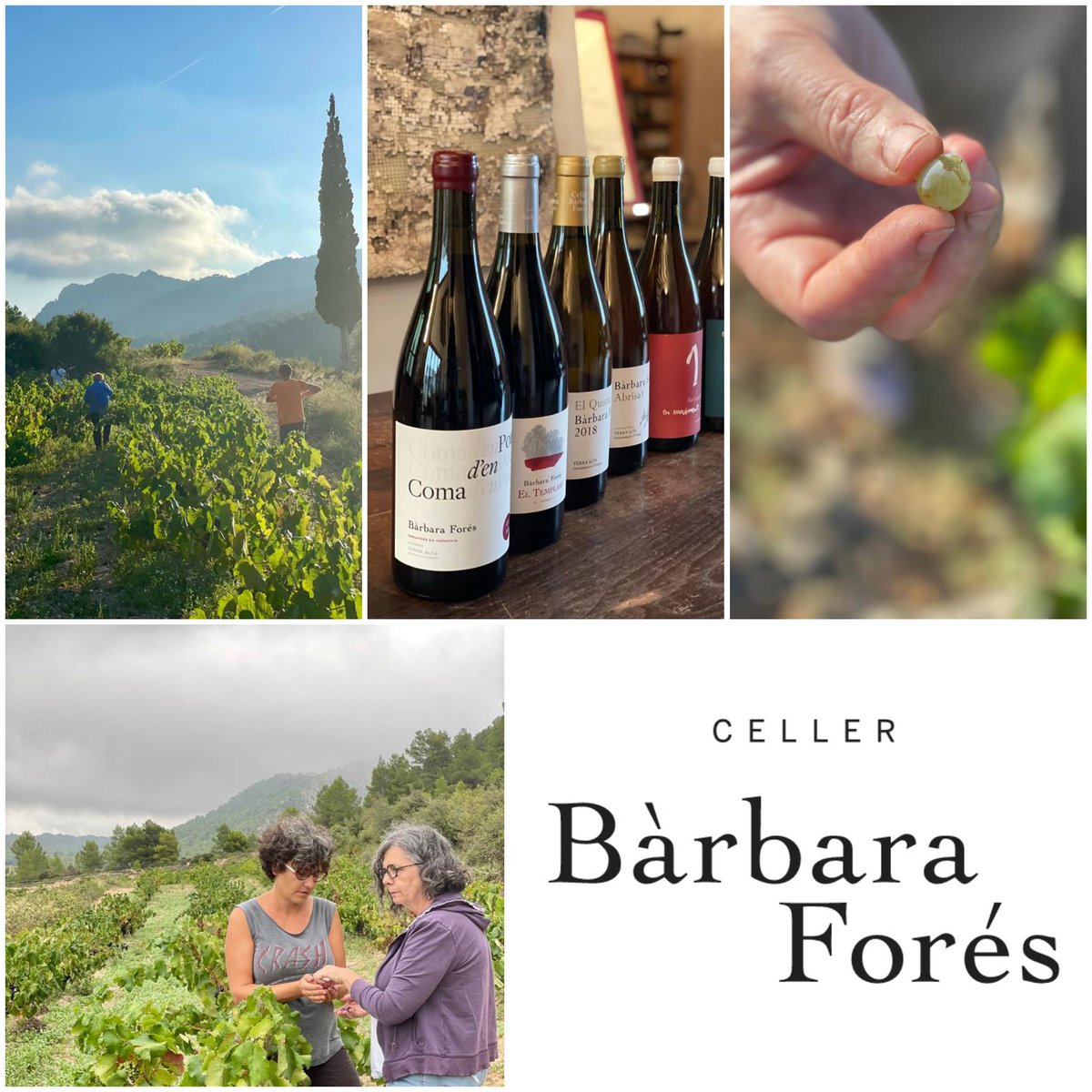 Bodega familiar más de cien años trabajando la tierra
Artesanas comprometidas con la tierra
Agroecología vinos honestos sinceros
Variedades tradicionales y paisajes de secano
#artisanwineattraction #barcelonawineweek #barcelonawineweek2022 #bww2022 #bww #vino #vi #vin #wein #wine