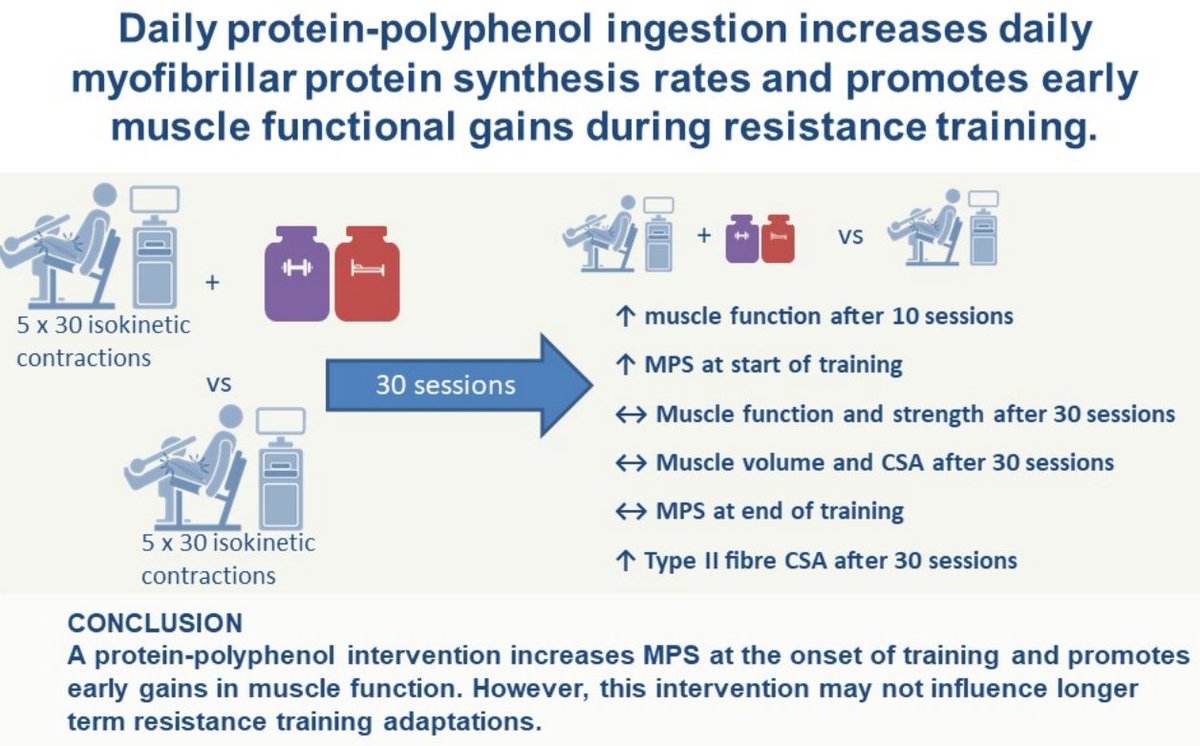 Dr. Myohead tweet media