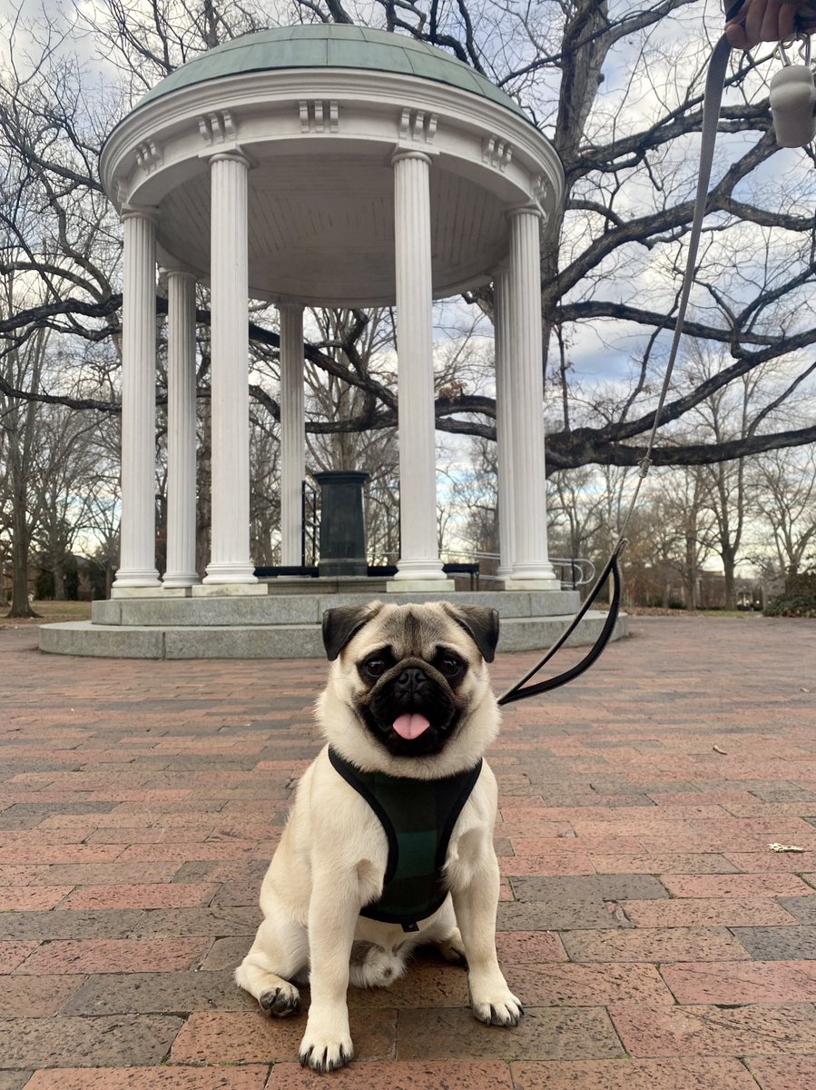 NRLetourneau's tweet photo. Monster enjoyed his visit to where his human’s academic career began! https://t.co/yP44bhZnhh