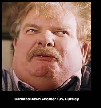 *consults the Cardano daily Dursley meter*

*Spits out old fashion laughing...wipes tears...*