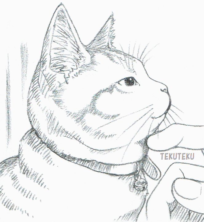 お出迎え猫にゃん寄りにゃ♡
 #猫好き 🐱🎶
 #illustration 
 #オリジナルイラスト 