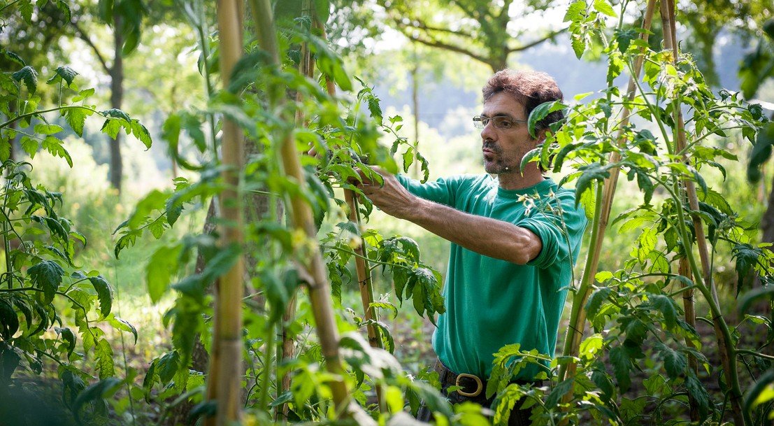 rssagriculture's tweet photo. Qu'est-ce que le #biocontrôle ?
https://t.co/DcEBpOqFdv https://t.co/7TkbBdwI0e