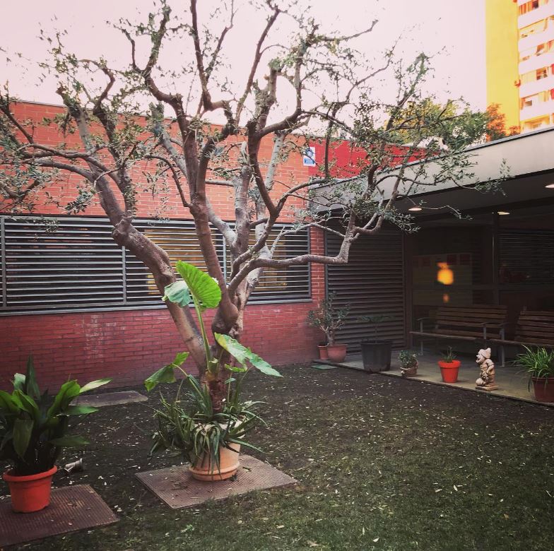 GrupPereMata's tweet photo. Treballs de jardineria 🍃🍂🌳 al pati de l’entrada de la #Residència Bellvitge, de Villablanca, a càrrec dels usuaris del Centre Especial de Treball #TEBVerd. Han podat l'olivera i segat el parterre. Ens ha quedat la mar de bonic. https://t.co/IV99PJMqH3
