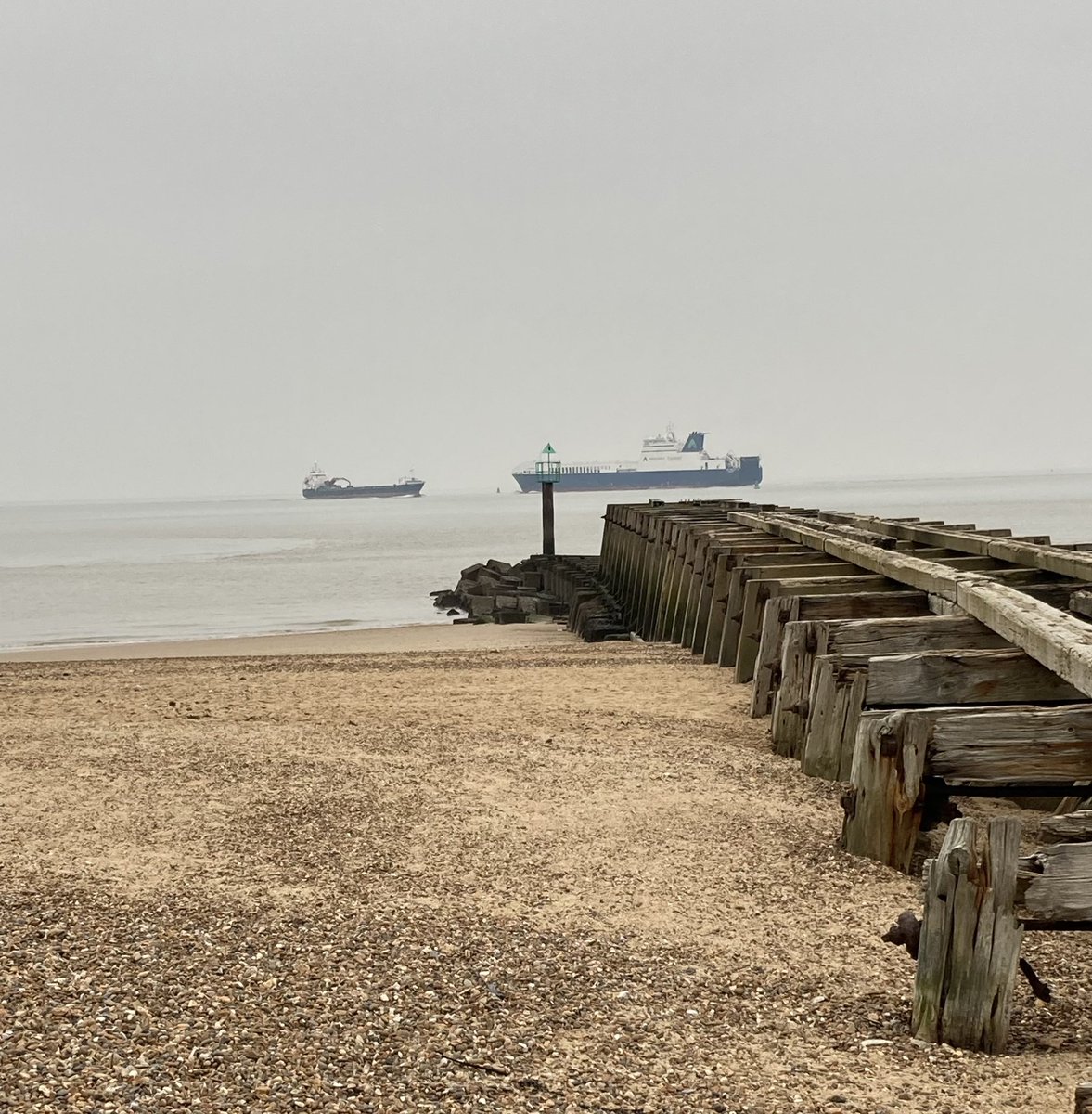 Seashellsfelix's tweet image. Missing da Hoodad on our walkies this morning. 
Very peaceful down at the #viewingpoint and #landguardcommon though (even when we’d arrived 🤣🐕‍🦺) 
#SchnauzerGang #missbarkalot