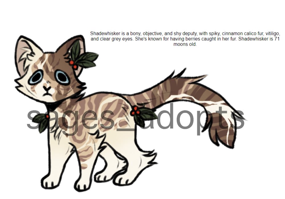 sagebones 🌱 on Twitter: "2 cat adopts | OPEN | tos and other info in  replies #warriorcats #warriorcatsdesigns #warriorcatsadopt #adopt #catadopt  #adoptable #adoptopen #wcadopt #baseedit #baseadopt #paypaladopt  #pointadopt https://t.co/pDQmH4ZeFZ ...
