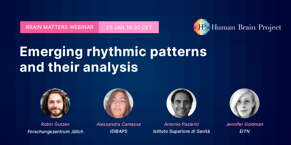 HumanBrainProj's tweet photo. #BrainMatters #8 - 'Emerging rhythmic patterns and their analysis' is tomorrow!

Join us for presentations from Human #Brain Project researchers who were selected to present their #research at #SfN21!

More details and registration ➡️ https://t.co/6zwS8P6IuH

#Webinar #SciComm https://t.co/YK6GV477WX
