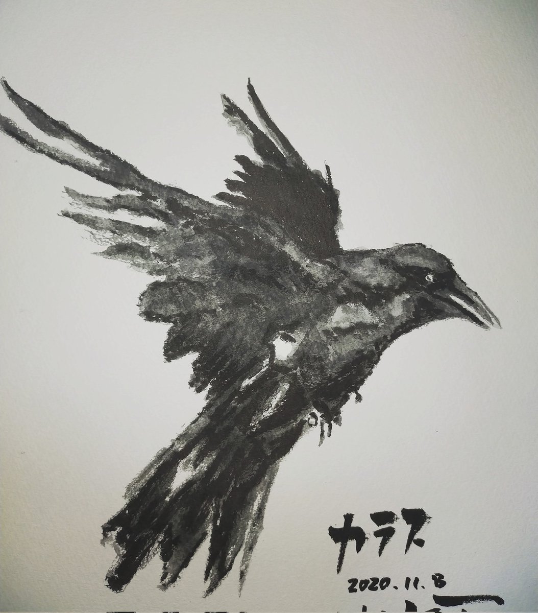 カラス 筆ペンで描いてみた！ #筆ペン画 #鉛筆画 #水彩色鉛筆画
