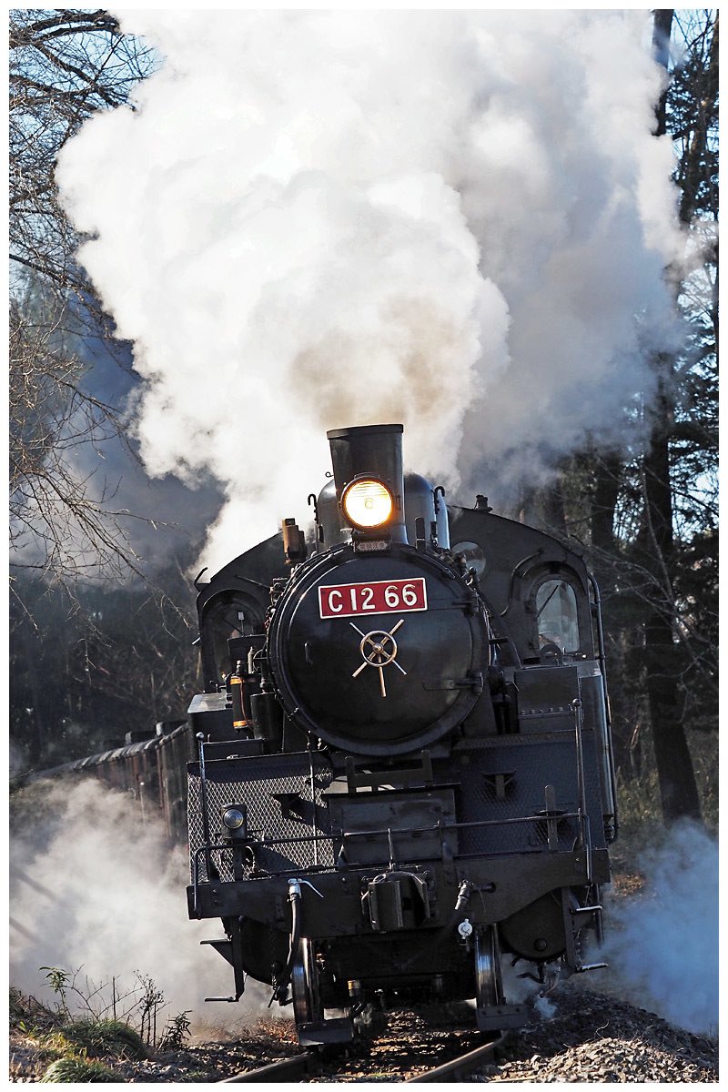 楓ちゃん tweet media