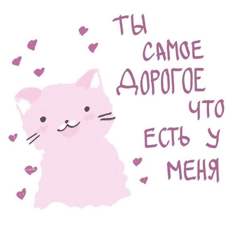 kaedeakx's tweet photo. которые не особо помогают, так что решила сделать так:(
их хороших новостей!! на моей основе от комфорта вы не избавитесь, поэтому если вы по какой-то причине хотите продолжить контачить, то прошу вас написать мне в дм!!
всех люблю и крепко обнимаю! спасибо вам большое за все! 💗 https://t.co/j0JV2Sr4gm