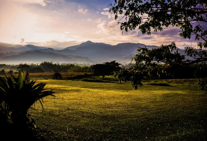 📅Join the “Cultural and Natural Heritage for Rural Regeneration in Latin America and the Caribbean” workshop organized by @ruritage together with @unescomvdo and @unescoEARTH.

26-27 Jan 2022, Online event

Learn more
👉textour-project.eu/events/ruritag…

#culturalheritage #naturalheritage