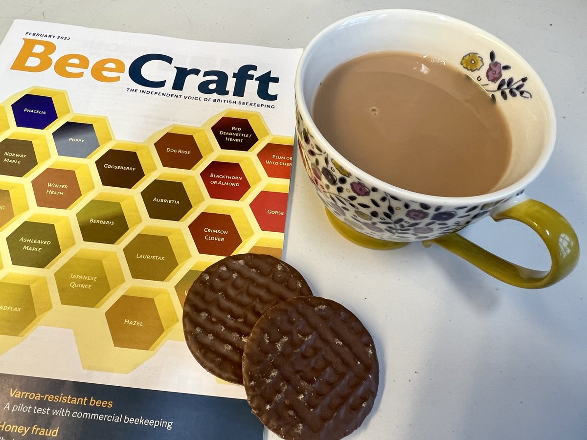 BeeCraftMag's tweet image. Get a great #Mondayfeeling &amp;amp; banish the #mondayblues with the #February #magazine  
#bees #beekeepers #beekeeping #agoodread