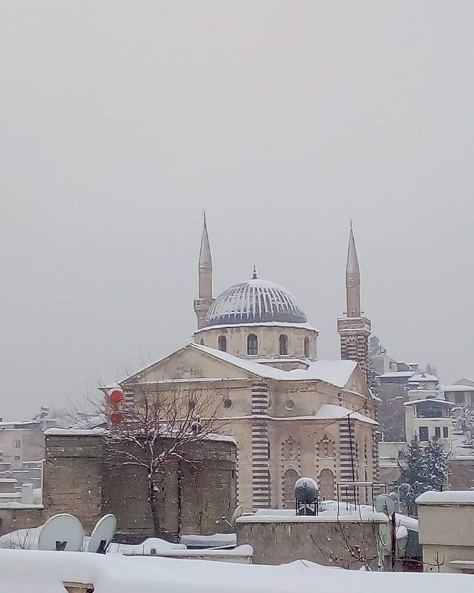 Yeghia Tashjian /يغيا/ Եղիա Թաշճեան 🇱🇧🇦🇲 tweet media