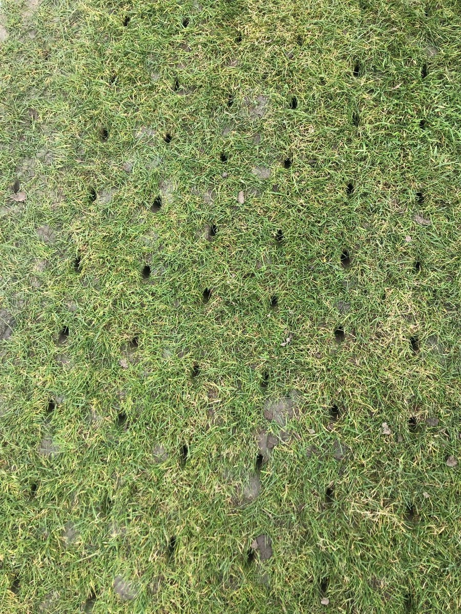 Nick Hatfield (grumpy groundsman) tweet media