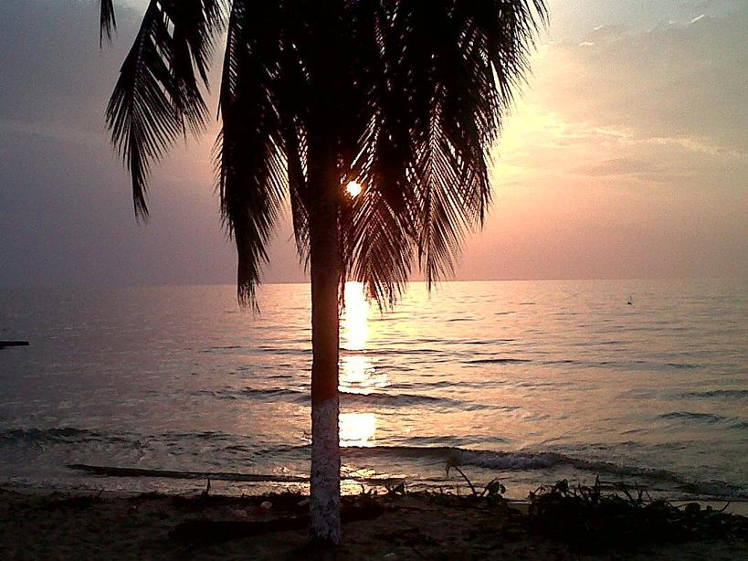 LuqueOmaira's tweet photo. Una nuevaa semana 📣 buenos días lindos azulejos, feliz inicio de semana de oportunidades,de trabajo y éxitos.Hoy llenen esa mochila de fe, tesón y amor y a dar lo mejor de cada uno.Sean felices y sonrían siempre. Besos y abrazos 😘🤗
#BuenosDias
#Bobures
#24Ene https://t.co/ue7Lwq82Fu