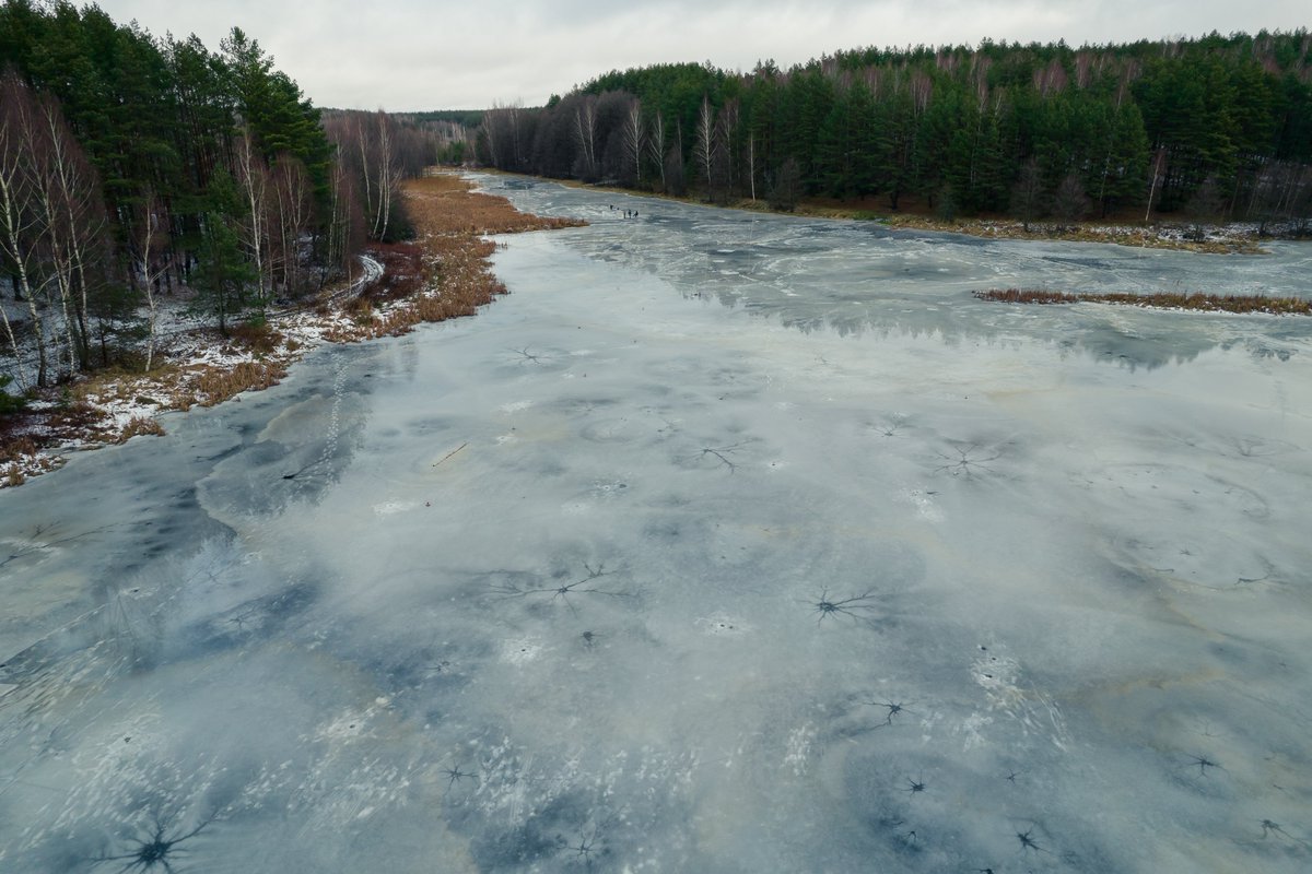 hleblat's tweet photo. The Beauty of winter.
#winter #belarus #nature #travel #forest #outdoor #ski #lake #beautyofnature #ice #blue #drone #airphotography #landscapephoto #europe #scandinavia #water #fresh #cold #december #february #january #usa https://t.co/SRxdOLbbBl