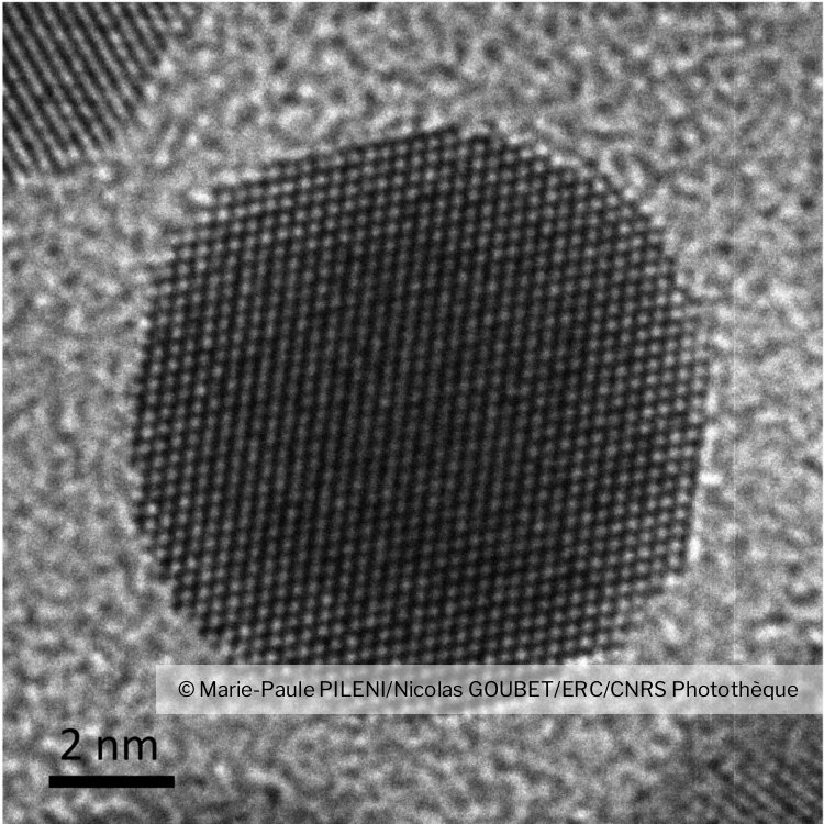 astropierre's tweet photo. Avez-vous déjà vu... des atomes d'or formant une nanoparticule d'or ?

Maintenant oui.

https://t.co/GNmNNA3mbv https://t.co/2ch6UQpuUq