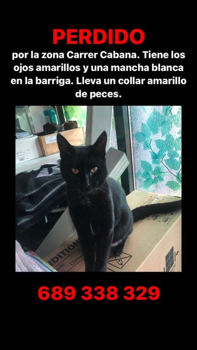 CarlosGuerr_'s tweet image. rt plss😖💗