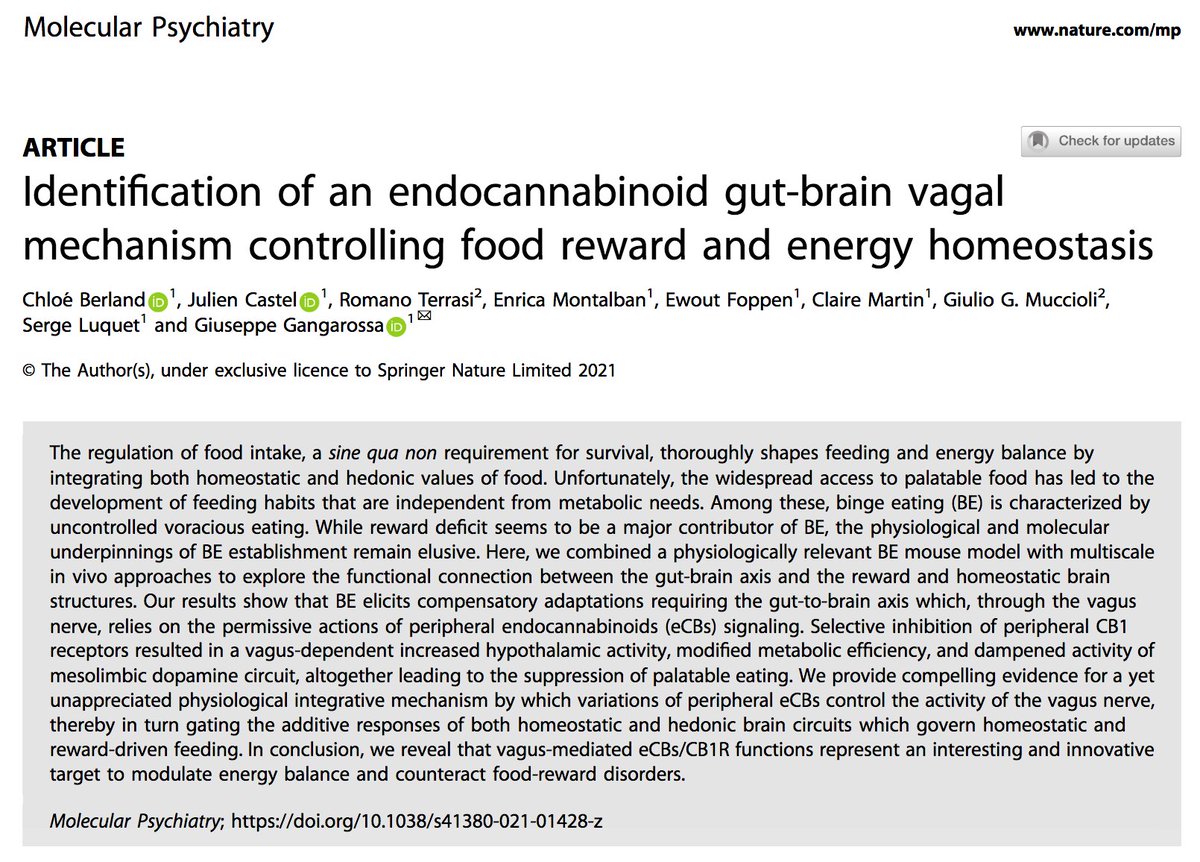 Giuseppe Gangarossa 🧠🧑🔬🇪🇺🏳️🌈 (@peppeganga) on Twitter photo Our article is now alive, <a href="/molpsychiatry/">molecularpsychiatry</a>! 🎉🥳 🍾
Many congrats to <a href="/BerlandChloe/">Chloé Berland</a> and wonderful colleagues for the long journey.
Here to get access: rdcu.be/cFAwO Our article is now alive, <a href="/molpsychiatry/">molecularpsychiatry</a>! 🎉🥳 🍾
Many congrats to <a href="/BerlandChloe/">Chloé Berland</a> and wonderful colleagues for the long journey.
Here to get access: rdcu.be/cFAwO