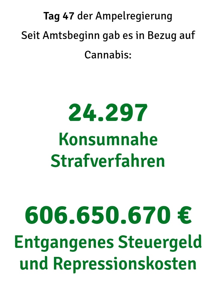 sloetree's tweet photo. @ZDF Dies hätte ein Tweet zur Strafverfolgung von #Cannabis|Konsument:innen trotz Legalisierungsplänen der #Ampel sein können - aber das @ZDF huldigt lieber der #Bierdose🤦🏼♀️ https://t.co/j7TLn3hkLW