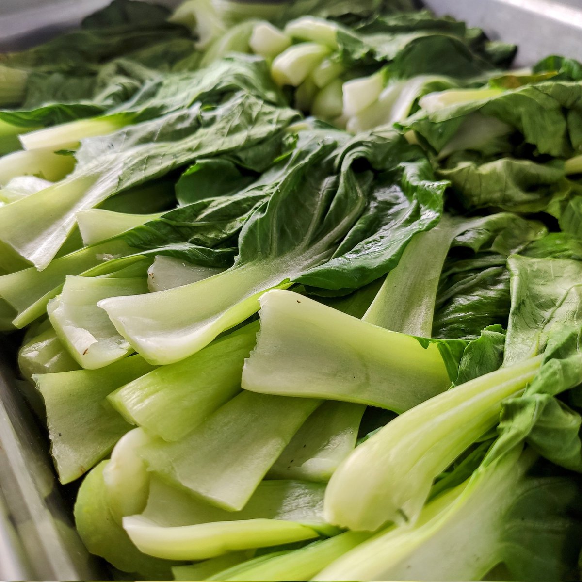 izzy_dr's tweet image. I make ramen from scratch at my food truck ever so often. They say it's pretty good. Come check it out! (It's all handmade!)