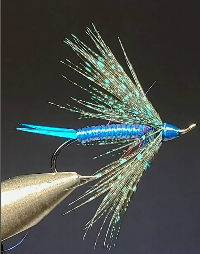 ZZ_Troutski's tweet photo. Art of the Sport™
Beautiful
@electric_tyer
Electric Steelhead Softie
Peacock Blue and Guinea Hen # 6.
Swinging large, bright colored Soft Hackles for Steelhead, is one of my favorite ways to target Chromers

#steelheadflies  #softhackle
#provenpattern
#regalvise #regalflytying https://t.co/WM5vt76hF3