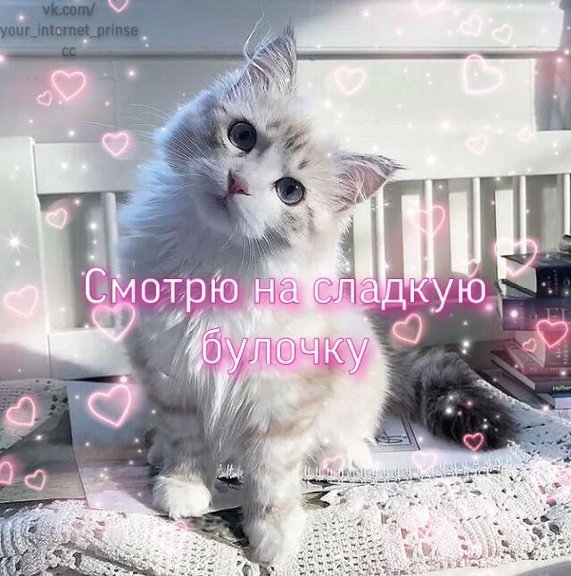 kaedeakx's tweet photo. @anxiousaddicted согласна, но ничего пока что не поделаешь :(
была бы рада контачить с тобой с основы! 
спасибо большое за все, солнце!! 🤲💞💗💞💗💞 https://t.co/17QdDY9oAW