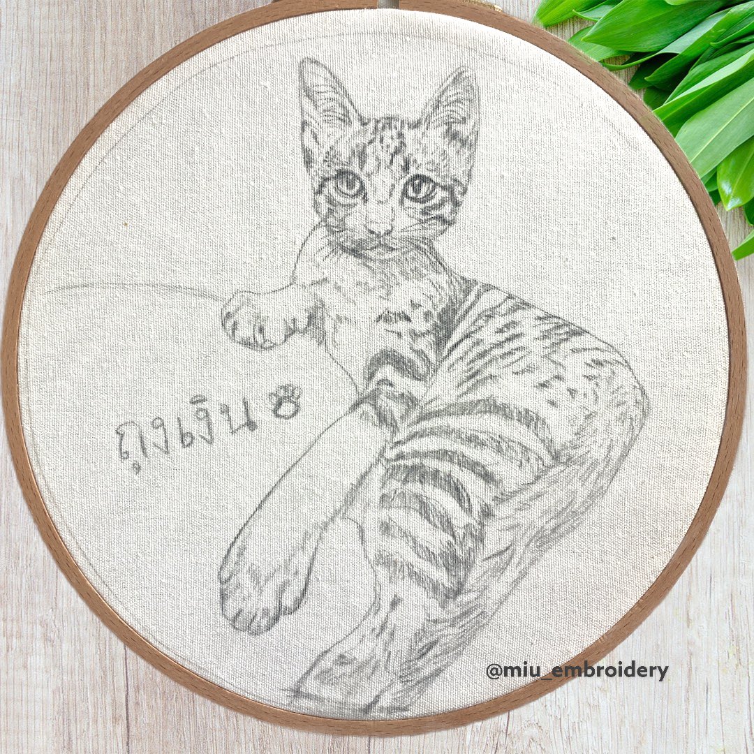 Can’t believe I’m new on Twitter 😅 Starting a new commission piece 😊 Just finish the sketch, I put in more details this time 😂 😻 #catportrait  #petportraitembroidery  #embroideryartist  #hoopembroidery   #needlepainting #threadpainting #broderie #broderiemain #bordado