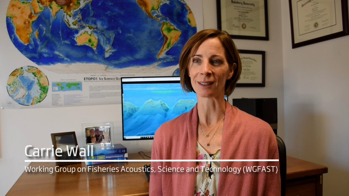 ICESmarine's tweet photo. 🎥Eye on the experts - USA���
Do you want to know how #acoustic #data from #surveys can be used beyond their original collection purpose? Hear Carrie Wall @NOAANCEI and member of #WGFAST, as she talks about visualising archived water column #sonar data➡️
https://t.co/SeKYcYSJnG https://t.co/Pao6uANlCd