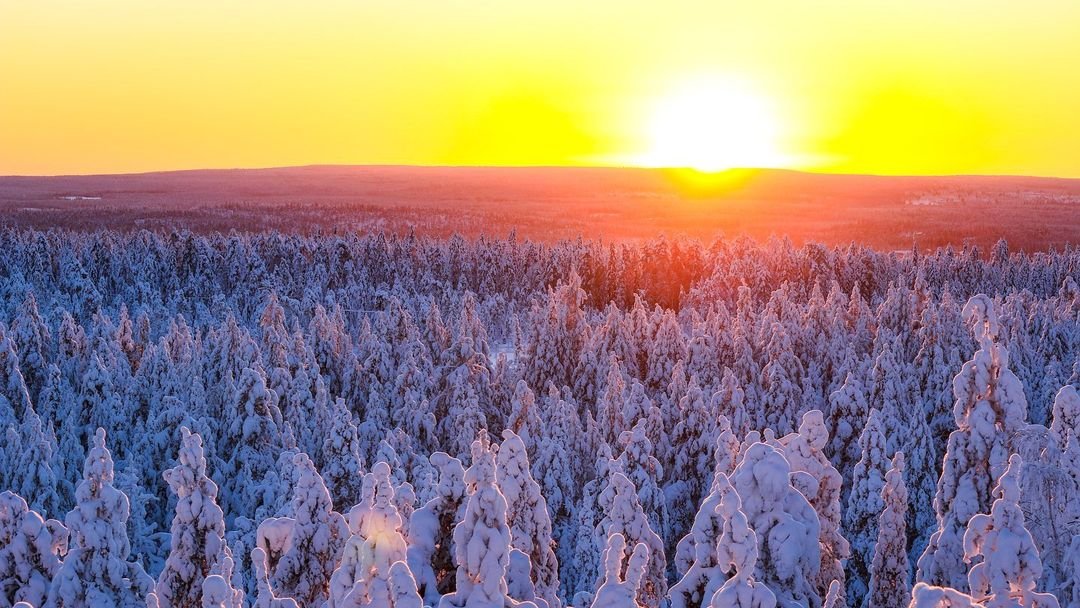 DiscoverFinland's tweet photo. The many hues of sunrise and sunset in Finland captured in these photos shared on IG by the petripuurunen, wildaboutlapland, eeva_saari, and ringkuvat accounts, added to our Sunrise | Sunset | Midnight Sun gallery: https://t.co/T2nJGQ2RB1 https://t.co/IYzmzuWUn0