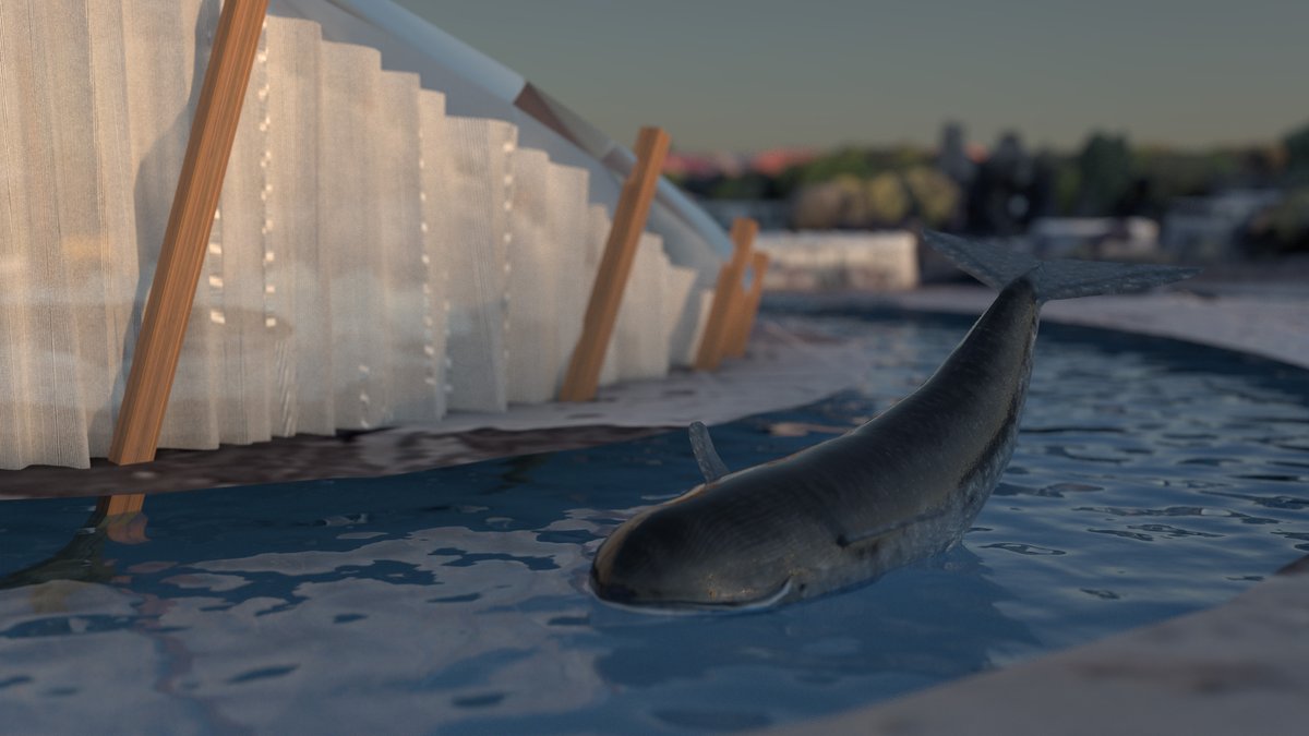 problem_prop's tweet image. Counter Proposal five – Rehab Center for Whales

Now on display!
problem-property.com/counter-propos…
goo.gl/maps/3WTDZx9A4…

#problemproperty #counterproposal #berlin #neukölln #estrel  #architecture #urbanplanning #artinpublicspaces