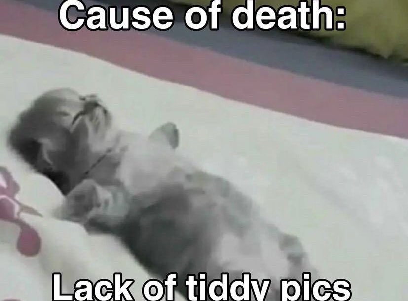 RuckFiley's tweet image. 