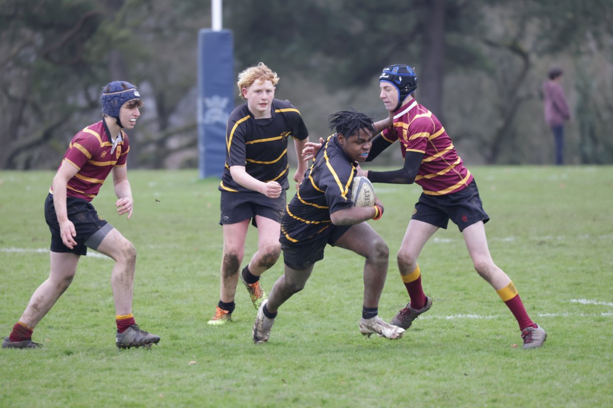 KSB Photos & News tweet media