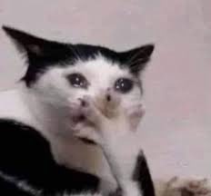 L’épisode 19 de #SNK littéralement comme ça pendant la moitié de l’épisode c’est quoi ces dingueries encore laissez nous respirer