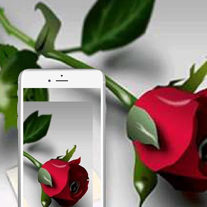 anonymousmTd's tweet image. 