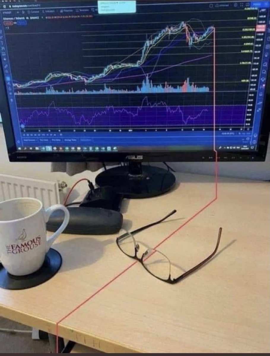 SGLion 🦁 tweet media