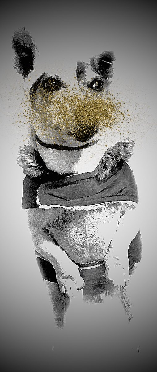notfound_666art's tweet photo. Nice! #nft #nftart #nftartist #nfts #nftcollector #nftcommunity #cryptoart #critoartist #nftphotography #nftanimation #nftvideo #digitalartwork https://t.co/49691YMDmP https://t.co/L5p2nvwkWo