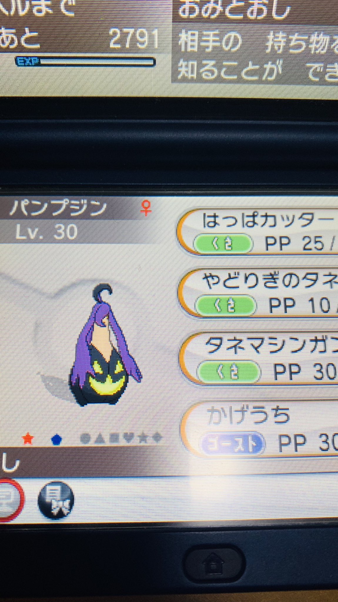 ひかる 今日の色違い ヤナップ 年末も色違い厳選 T Co Ucq4e4yw5r Twitter