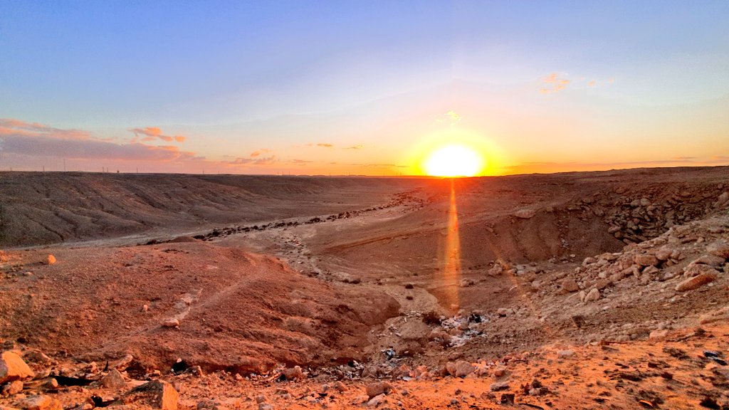 GoodBarley's tweet image. January photo dump 📸