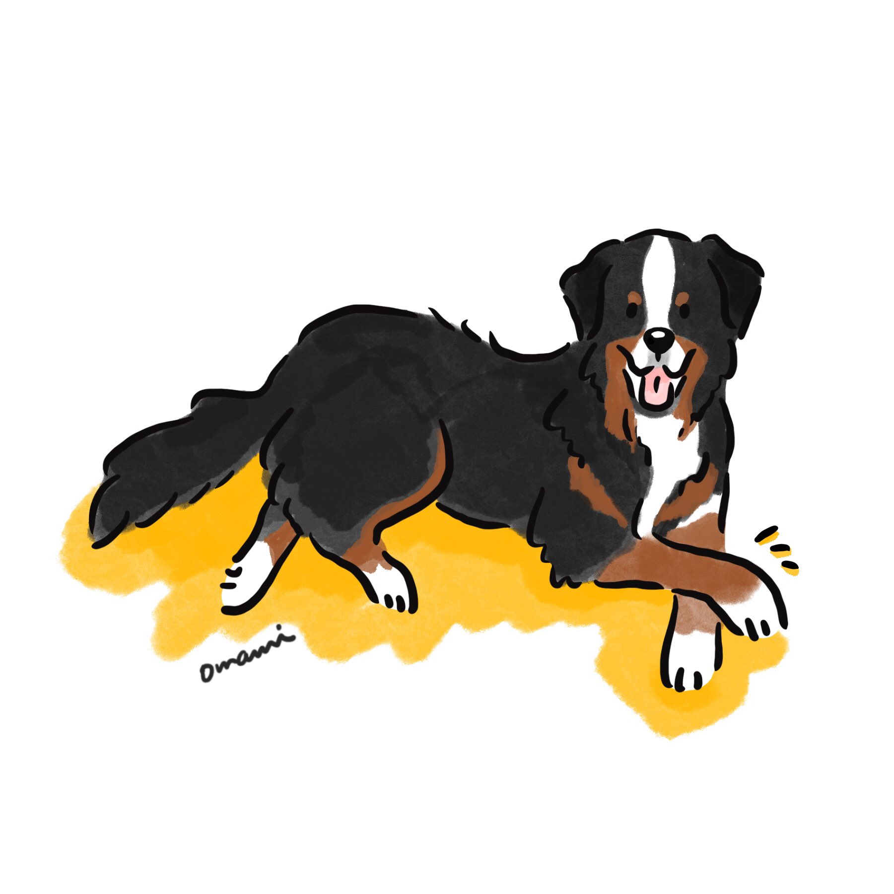 Omami 犬のイラストレーター 大きな体をゆっさゆっささせて優雅なバーニーズマウンテンドッグ わんこがおてて組むの可愛い このまろ眉毛も可愛い バーニーズマウンテンドッグ 大型犬のいる暮らし イラスト イラストレーター イラスト好きな人と