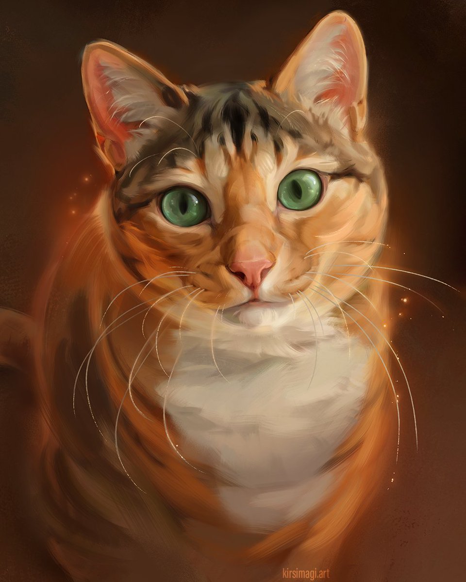 Mari-Liis Kirsimägi (@shrimpuart) on Twitter photo 