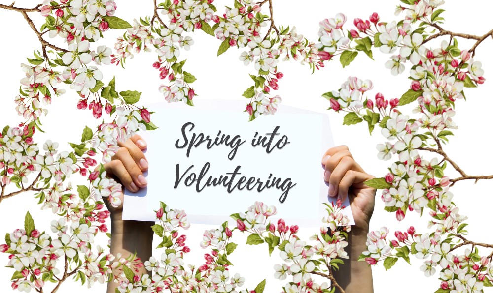 Interested in Volunteering? Call in and see us for a chat on 17 th February 11-2pm The Foyer, Ground Floor, Rugby Art Gallery and Museum or Email ckavanagh@wcava.org.uk phone 01788 574258/07966 380314 or register to volunteer online wcava.org.uk #volunteering #Rugby